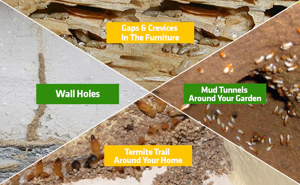 Mitx™ Herbal Termite killer Premium Spray – Buy 1 Get 2 FREE (Pack of 3)